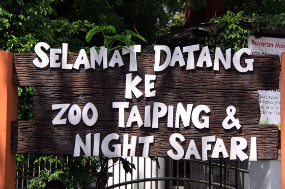 Taiping Night Safari